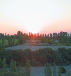 Ein ruhiger Sonnenuntergang über einer Reihe hoher Bäume.