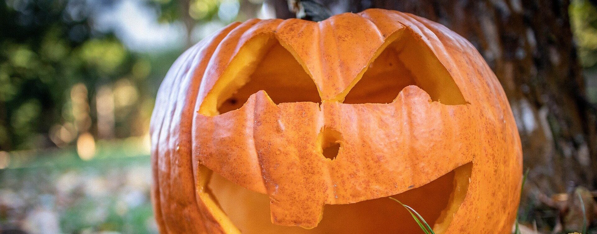 Allerheilgen und Helloween haben einen gemeinsamen Ursprung