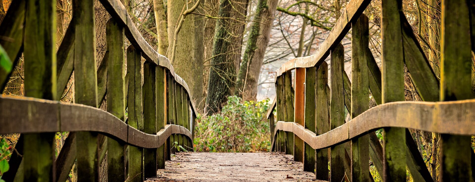 Holzbrücke